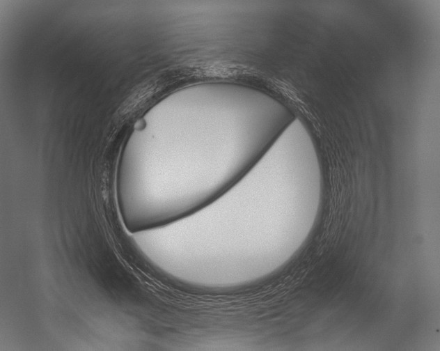 X0000054470683200507291048