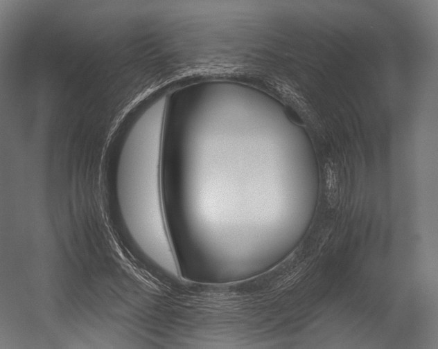 X0000054470684200507291048