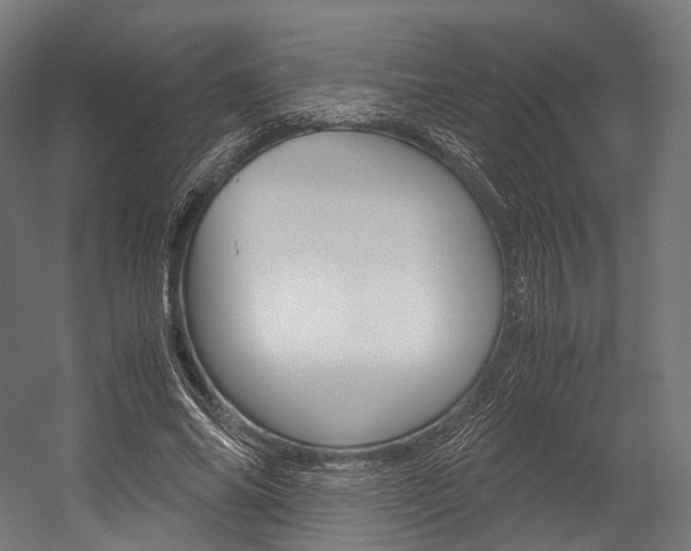 X0000054470686200507291048