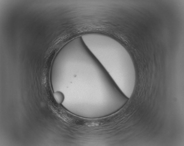 X0000054470687200507291048