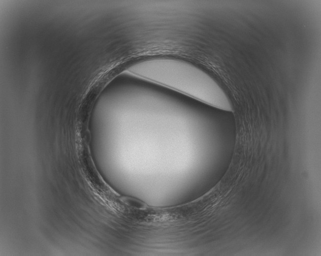 X0000054470688200507291048