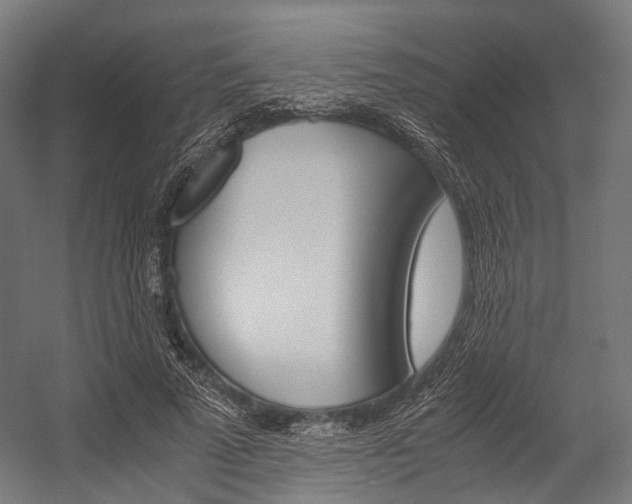 X0000054470689200507291048