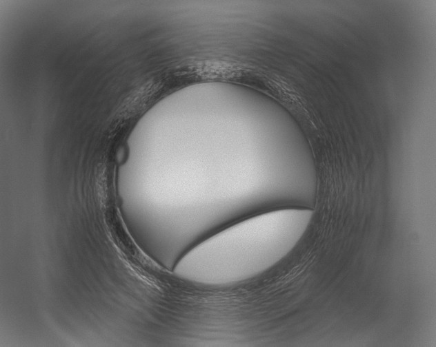 X0000054470690200507291048