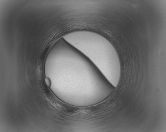 X0000054470691200507291048