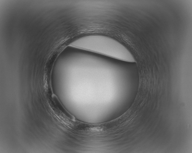 X0000054470692200507291048