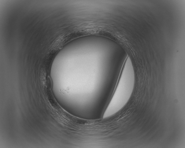 X0000054470693200507291048