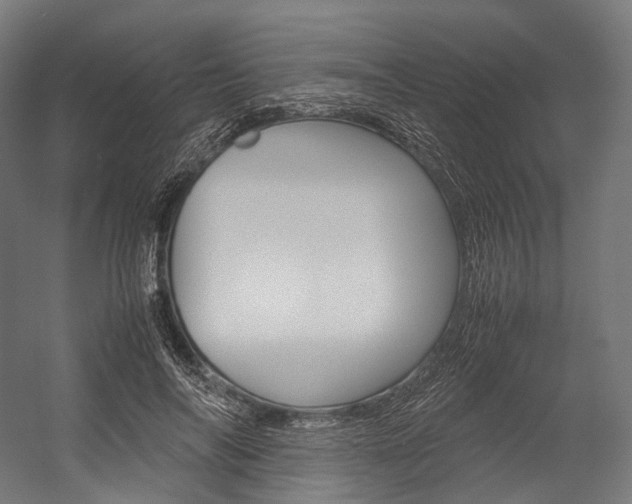 X0000054470694200507291048