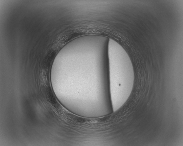 X0000054470695200507291048