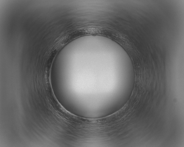 X0000054470696200507291048
