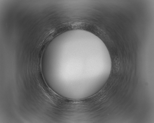 X0000054470698200507291048