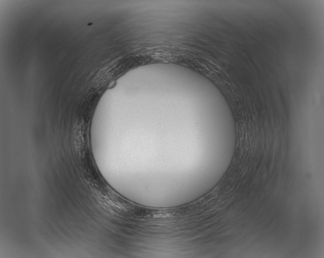 X0000054470702200507291048