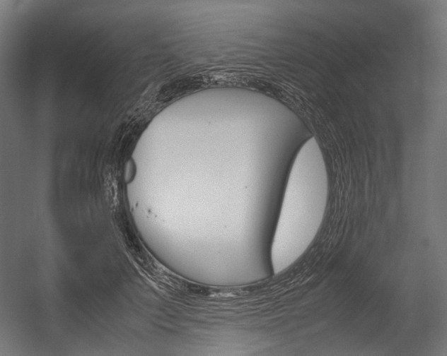 X0000054470703200507291048