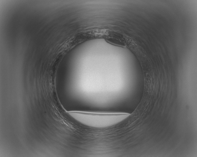 X0000054470704200507291047