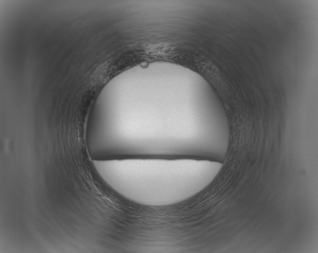 X0000054470706200507291047