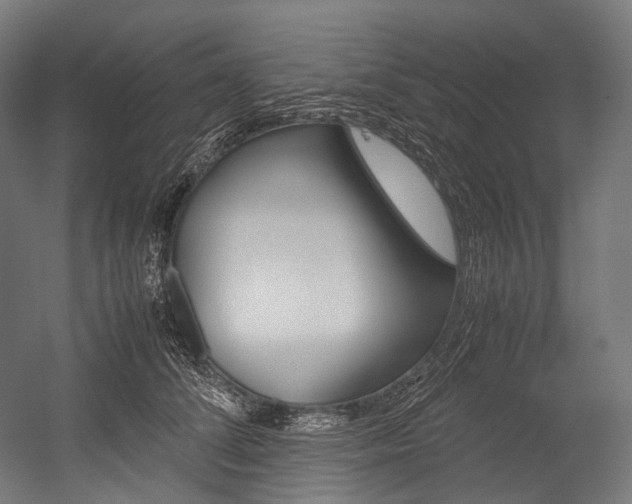 X0000054470708200507291047