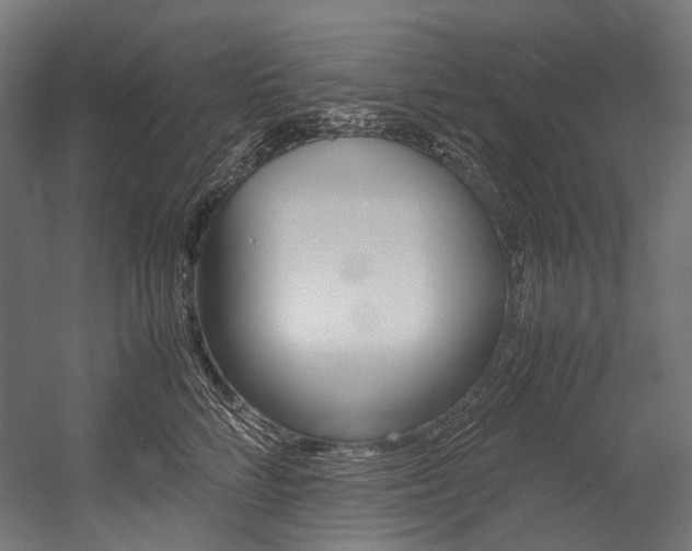 X0000054470712200507291047