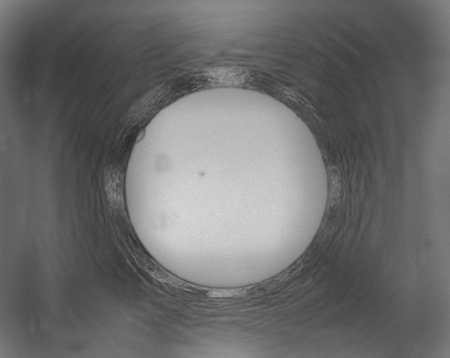X0000054470713200507291047
