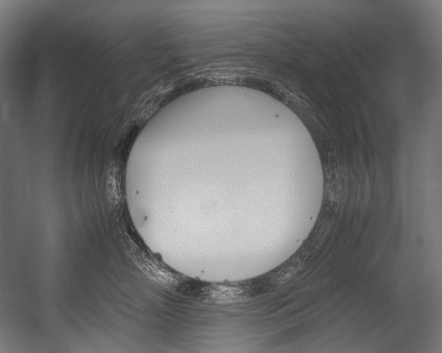 X0000054470718200507291047