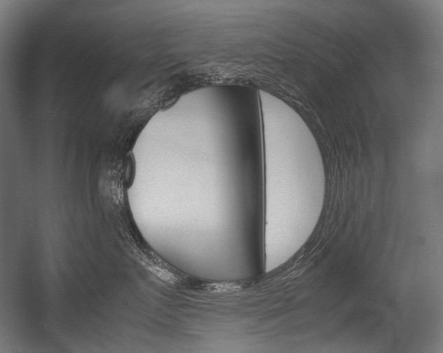 X0000054470719200507291047