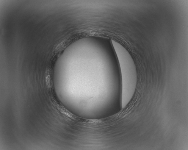 X0000054470720200507291047