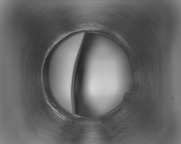 X0000054470722200507291046