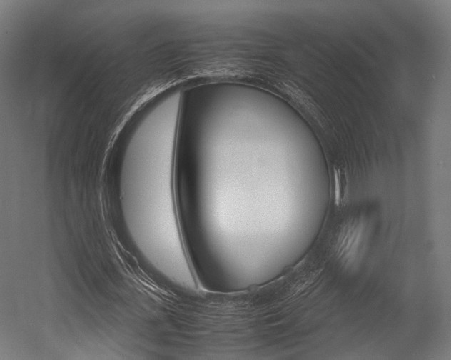 X0000054470723200507291046