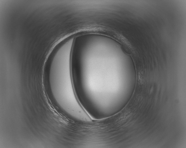 X0000054470724200507291046