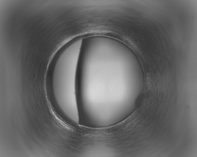 X0000054470726200507291046