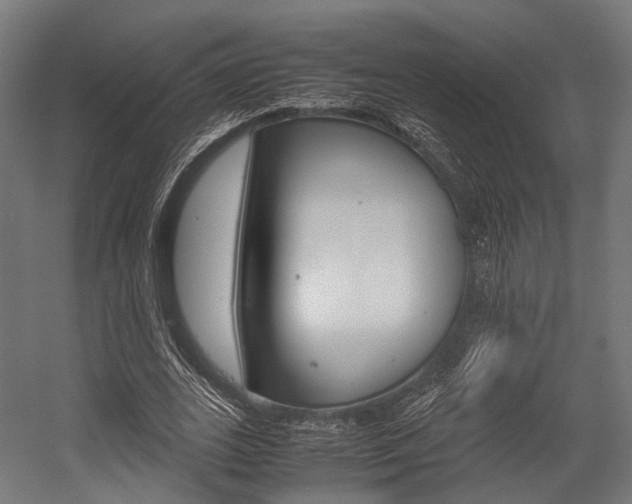 X0000054470727200507291047