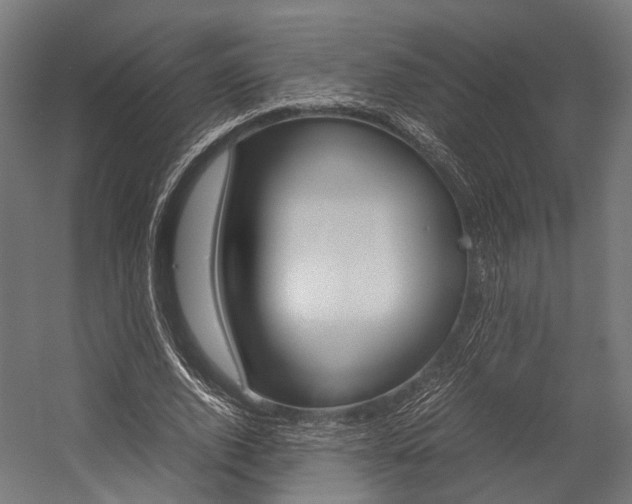 X0000054470728200507291047