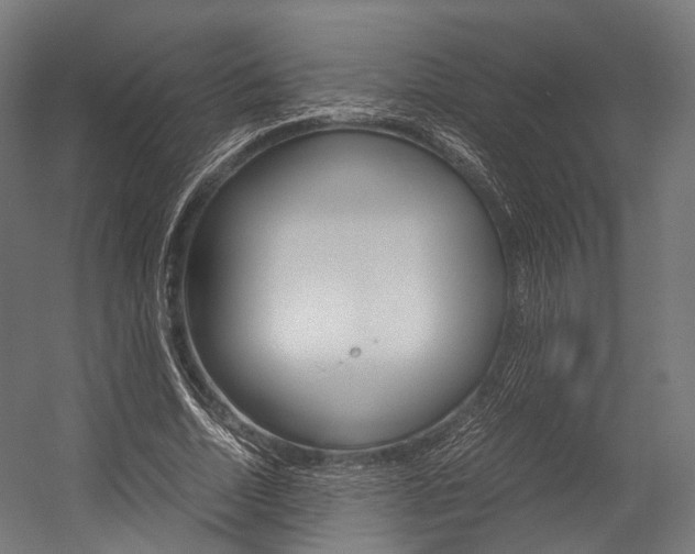 X0000054470730200507291047