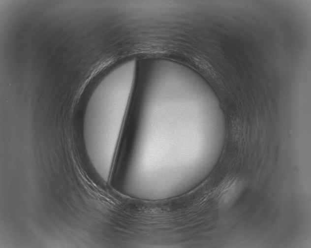 X0000054470731200507291047