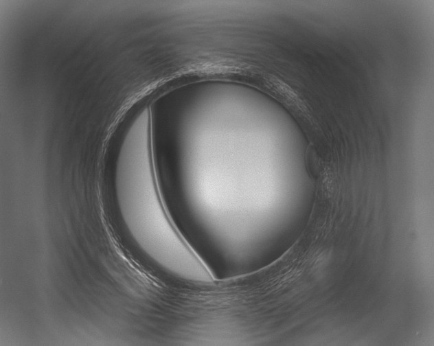 X0000054470732200507291047