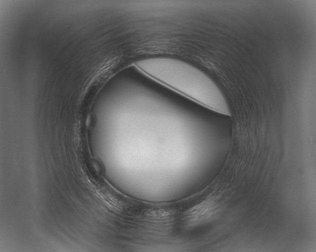 X0000054470735200507291047