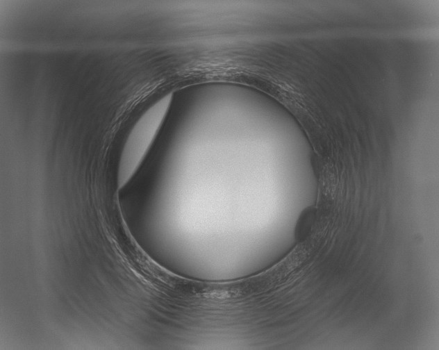 X0000054470740200507291047