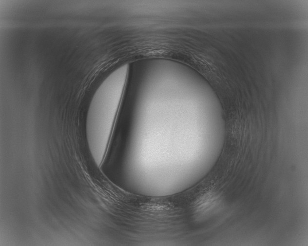 X0000054470743200507291047