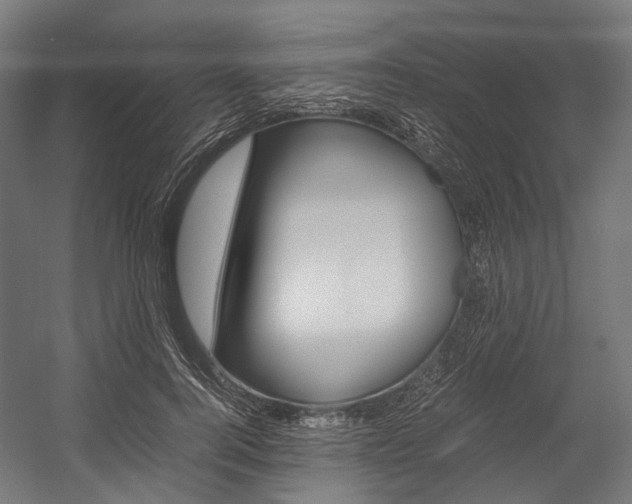 X0000054470744200507291047