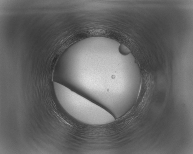 X0000054470745200507291047