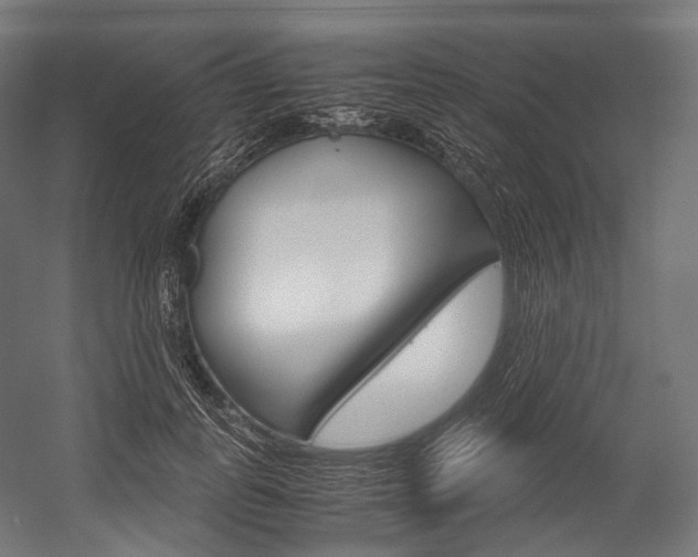 X0000054470747200507291047