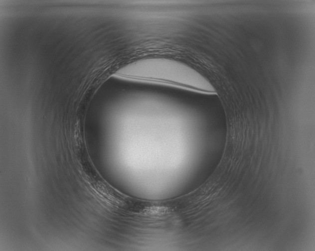 X0000054470748200507291047