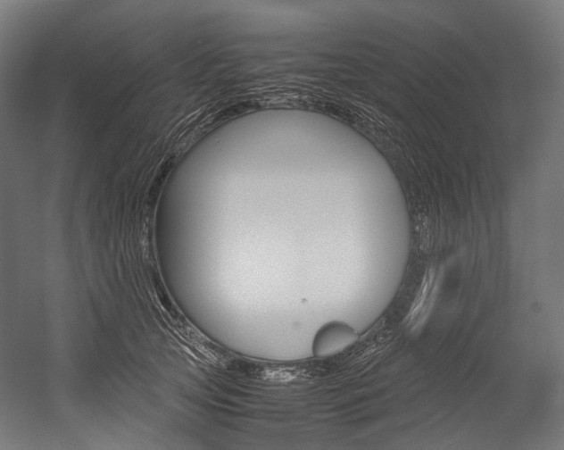 X0000054470753200507291047