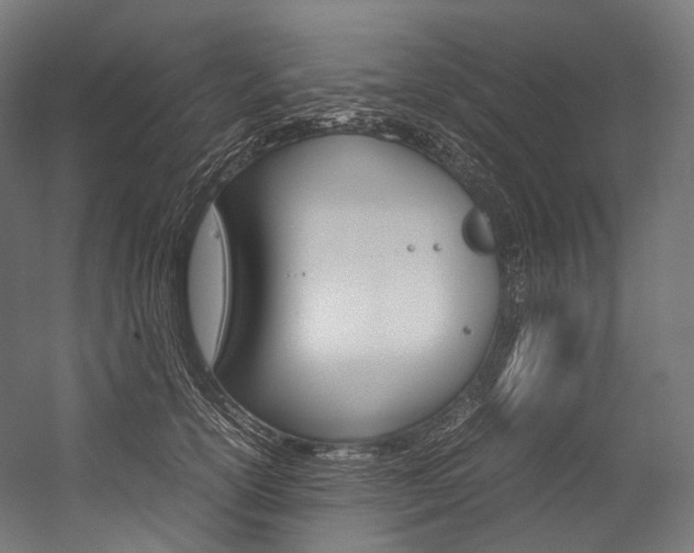 X0000054470754200507291047