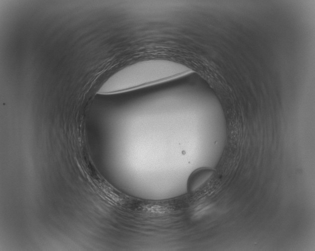 X0000054470755200507291047
