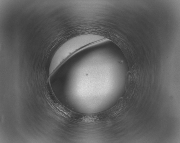 X0000054470756200507291047