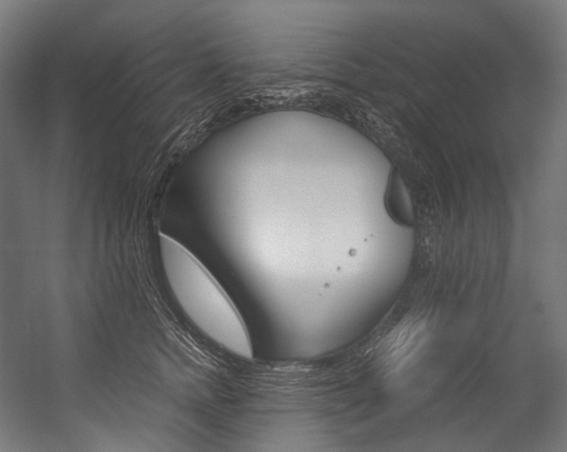 X0000054470758200507291047