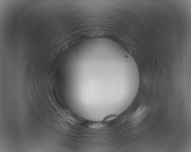 X0000054470759200507291047