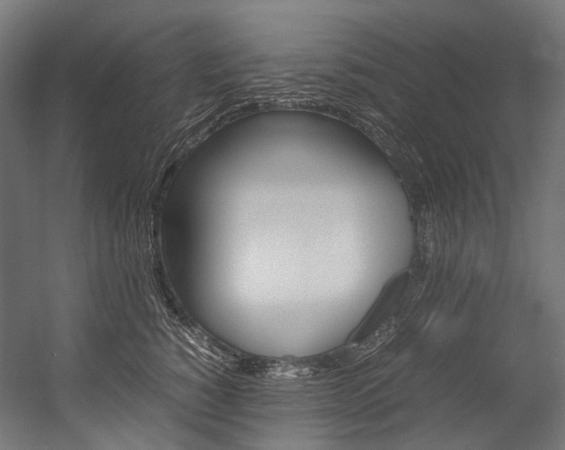X0000054470760200507291047