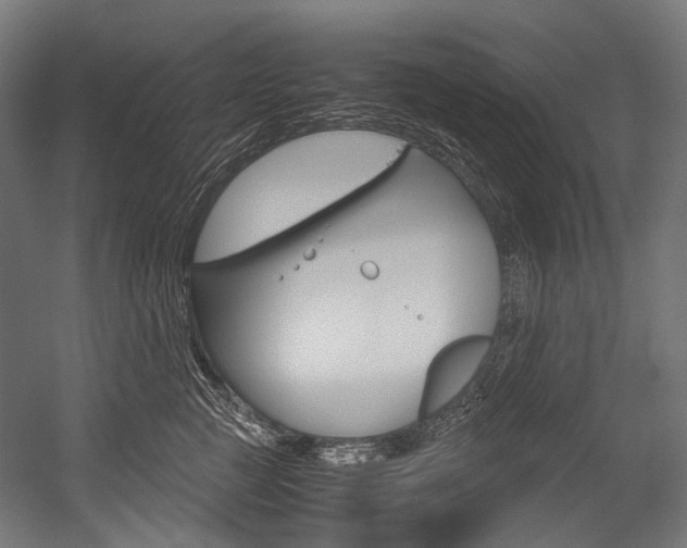 X0000054470761200507291047