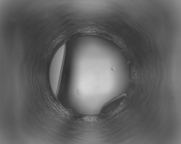 X0000054470762200507291047