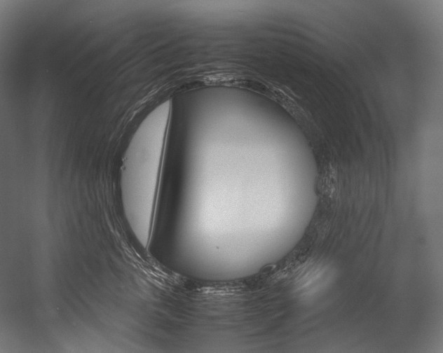 X0000054470763200507291047